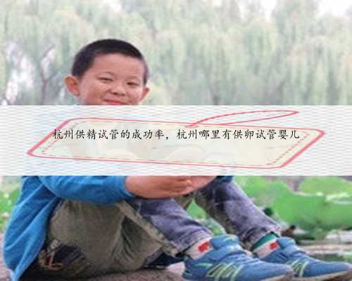 杭州供精试管的成功率，杭州哪里有供卵试管婴儿